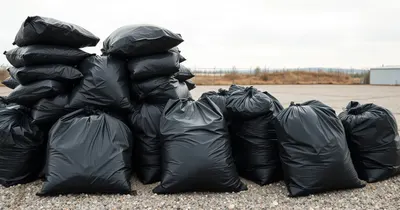 Jak znaleźć firmę do wywozu odpadów? Poradnik